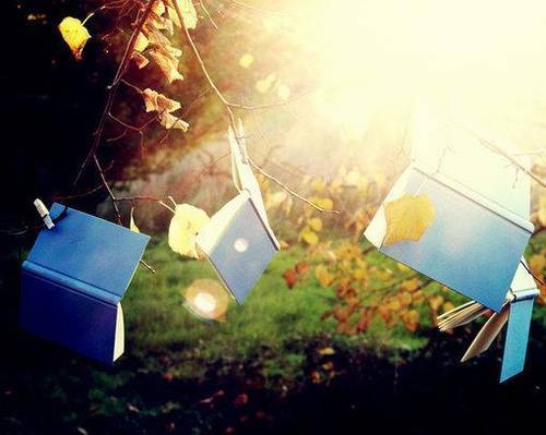 青溪古诗赏析及意义