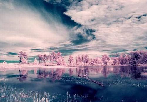 池上池上古诗池上