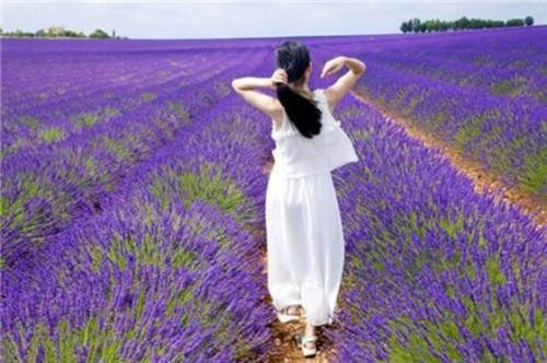 引用古诗的记叙文