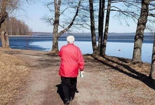 东栏梨花古诗答案