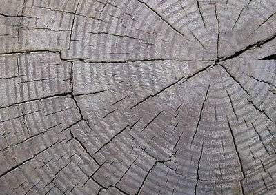 初中学写古诗词