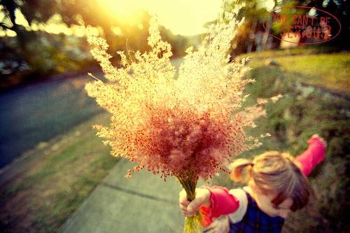 爱情古诗的意象