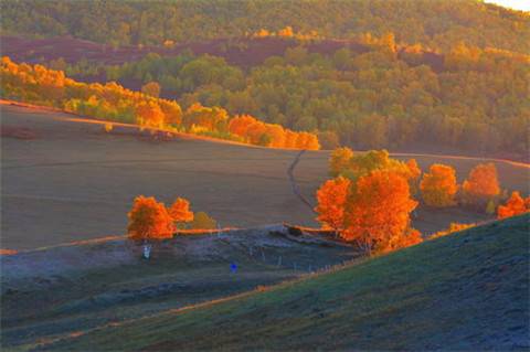 乌镇蓝影花布导游词