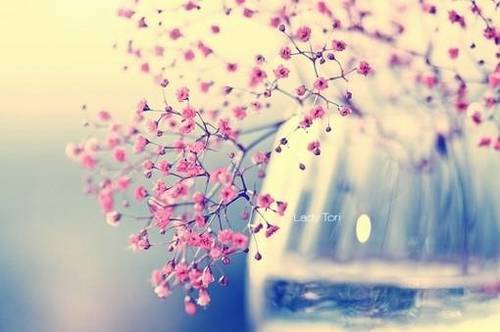 赞美老师诗句古诗词