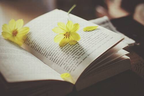 九江导游词介绍