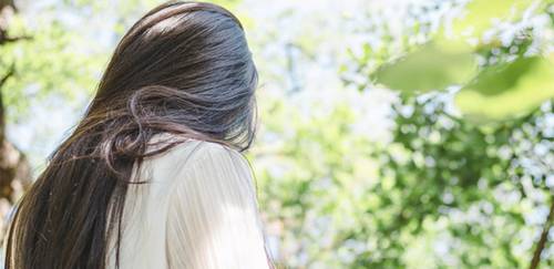 古诗江上梅带拼音的