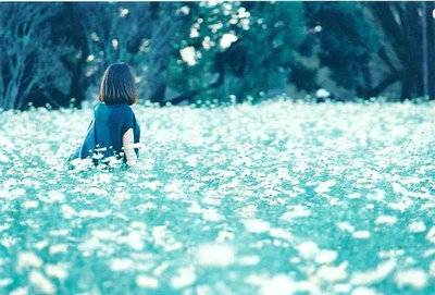 牡丹图古诗诗意