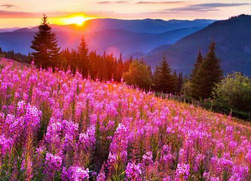 送给爱人的古诗