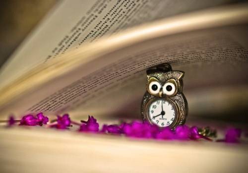 含有书字的古诗