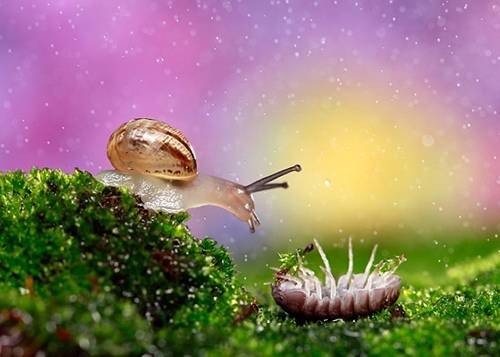 娲皇宫导游词五分钟