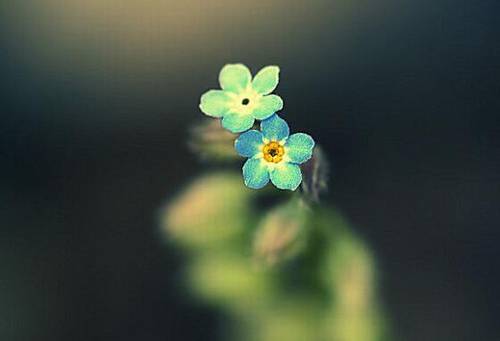 古典文学的古诗