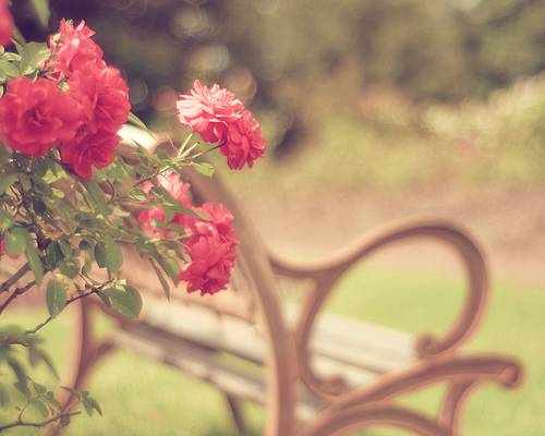 古诗春雪的意思