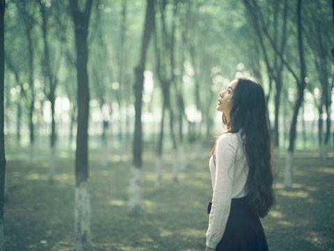 古诗词的发展史