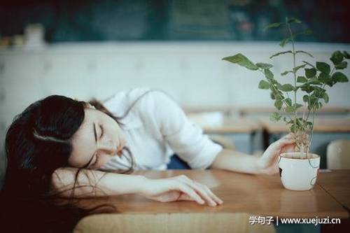 明显陵导游词概括