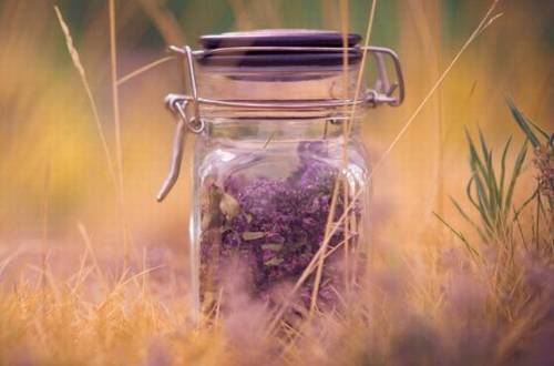 古诗词书法作品