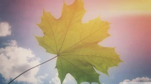 桂林导游词一句话