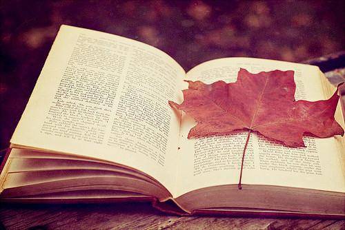 吉林市北大湖导游词