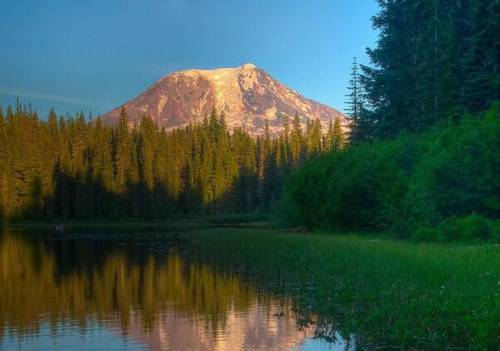 描写春季古诗句