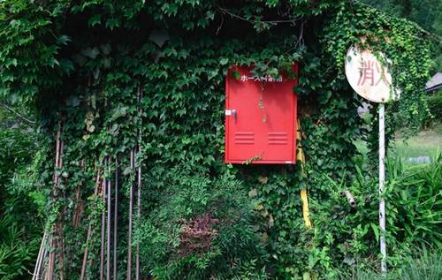 冬天阳光的古诗
