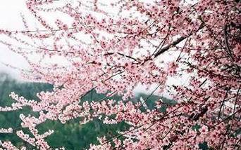 静夜思古诗配画简笔画