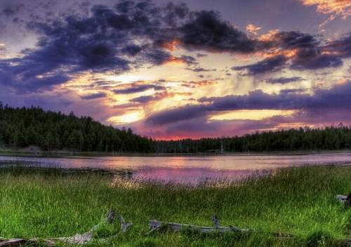 赞美名人的古诗词