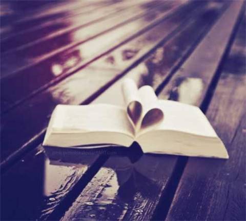 描写春景的诗句古诗