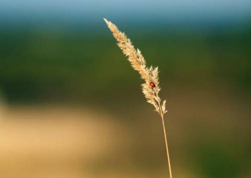 关于荆门的古诗