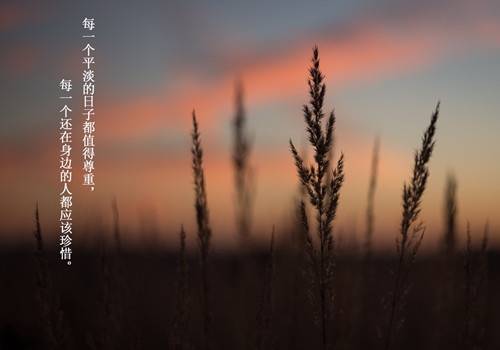 古诗词中的科学