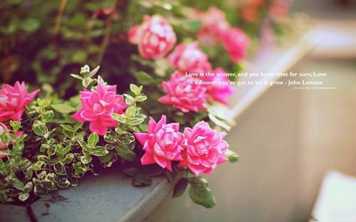 华严三圣的导游词