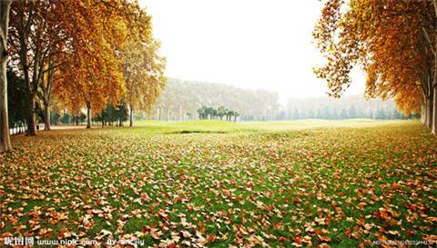 描写夏季的古诗词