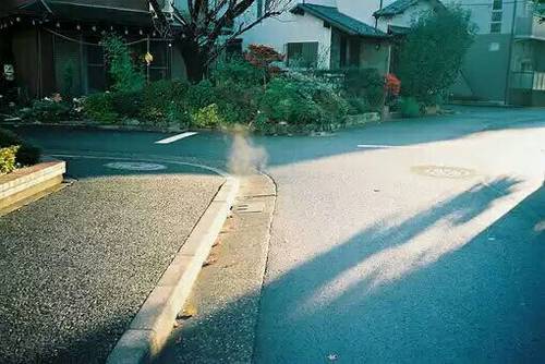 关于赞美荷花的古诗