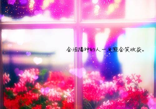 国清寺导游词文库