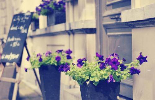 缅甸旅游导游词