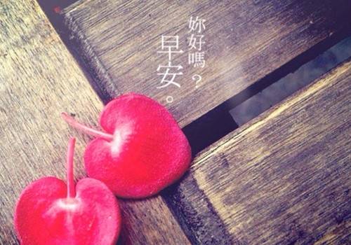 嘉兴校园导游词作文