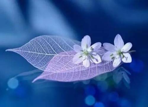 叹人生苦短的古诗词