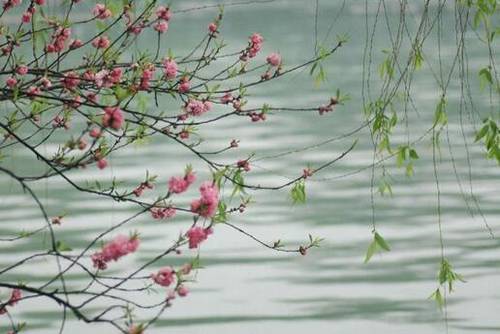 峨眉山导游词三分办