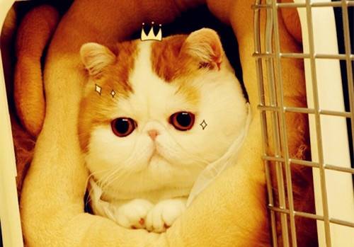 偶书古诗的意思