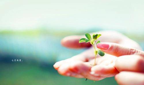 介绍风味餐的导游词