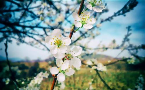 有关助人为乐的古诗