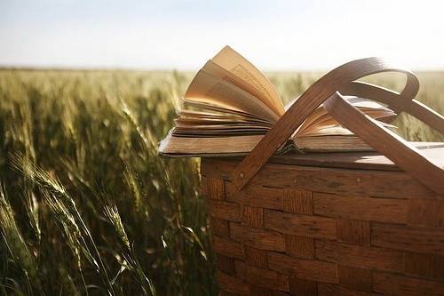 阿勒泰山导游词