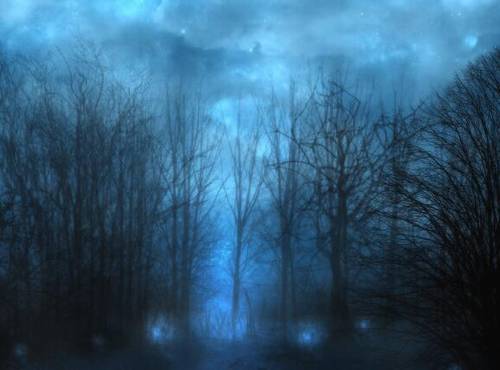 三峡作文导游词