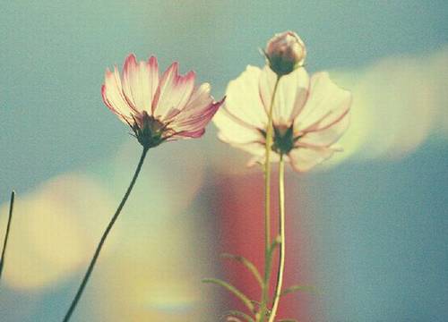 广东省五分钟导游词