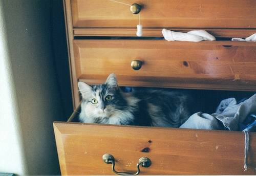 美丽武宁导游词