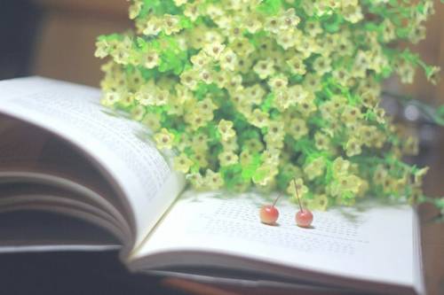 圆明园导游词60字