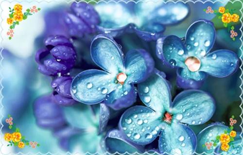 黄河延线导游词四省