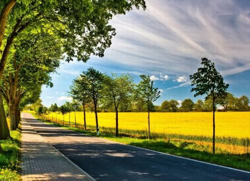 关于春天的诗古诗