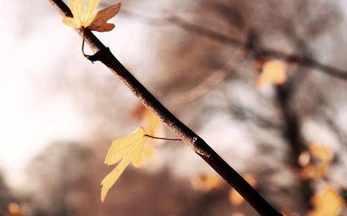 枣庄地接导游词最新