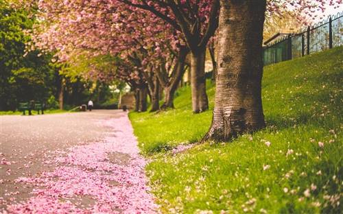 孙文公园导游词