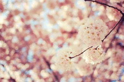 形容心静如水的古诗词