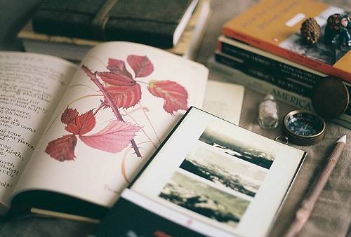 美国游客英文导游词